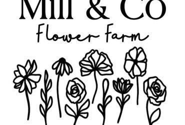 Mill & Co Flower Farm