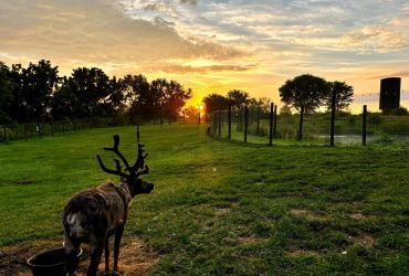 RV Camping at Prairie Moon