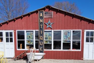 Trash and Treasures at the Chicken House