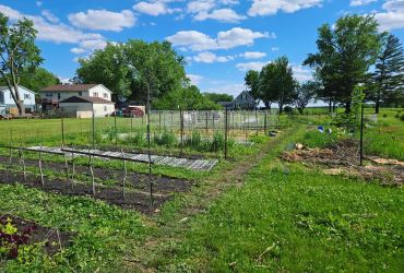 Prairie Punk Farms