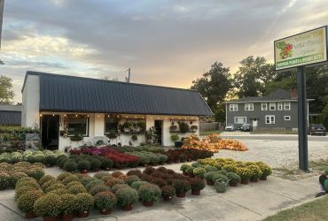 Where the Wild Things Grow