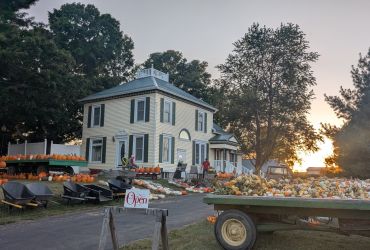 Abingdon Pumpkin Patch