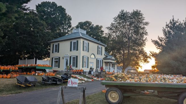 Abingdon Pumpkin Patch