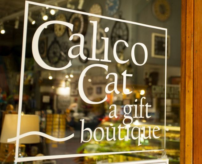 Calico Cat