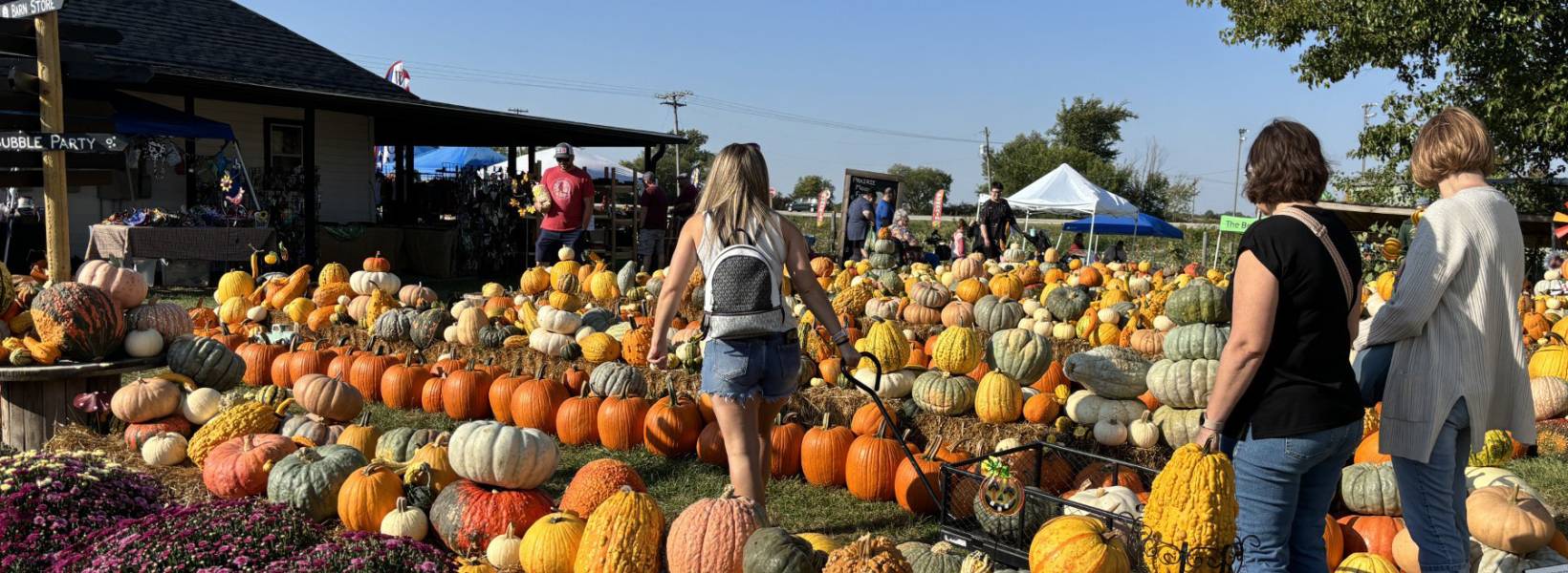 Three woman and a man in a pumpkin patch
